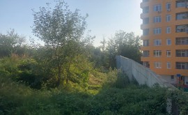 Фото 4: Участок 24 сот., Голубые Дали - Рост Недвижимость