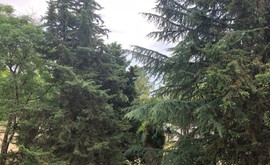 Фото 5: 3 комн. квартира, 63.2 м², 5/2 эт. - Рост Недвижимость