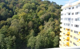Фото 4: 2 комн. квартира, 38 м², 16/14 эт. - Рост Недвижимость