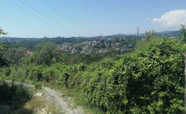 Фото 3: Участок 5.2 сот., Раздольное-объездная - Рост Недвижимость