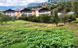 Фото 1: Участок 20 сот., Центр - Рост Недвижимость