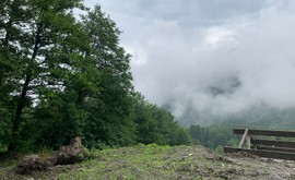 Фото 5: Участок 70 сот., Красная поляна - Рост Недвижимость