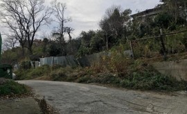 Фото 3: Участок 3 сот., Хоста - Рост Недвижимость