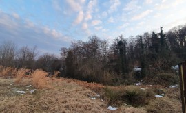 Фото 4: Участок 8.6 сот., село Пластунка - Рост Недвижимость