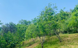 Фото 3: Дом 200 м² на участке 29 сот. - Рост Недвижимость