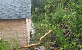 Фото 5: Участок 3 сот., Дагомыс - Рост Недвижимость