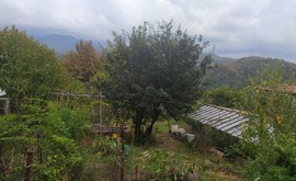 Фото 4: Участок 7.6 сот., Верховское - Рост Недвижимость