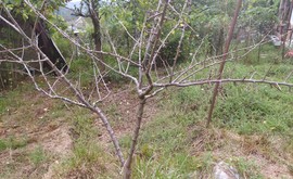 Фото 3: Участок 7.6 сот., Верховское - Рост Недвижимость