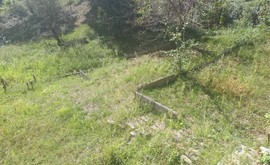 Фото 3: Участок 5.2 сот., Измайловка - Рост Недвижимость