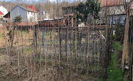 Фото 5: Участок 5.63 сот., Якорная Щель - Рост Недвижимость