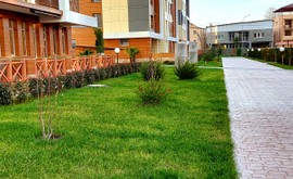 Фото 5: 1 комн. квартира, 24 м², 14/6 эт. - Рост Недвижимость