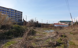 Фото 4: Участок 10 сот., Лоо - Рост Недвижимость