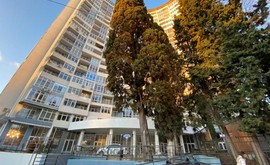 Фото 1: 2 комн. квартира, 50 м², 21/2 эт. - Рост Недвижимость