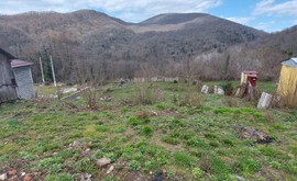 Фото 1: Участок 10 сот., Хоста - Рост Недвижимость