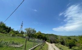 Фото 3: Участок 6.46 сот., Лоо - Рост Недвижимость