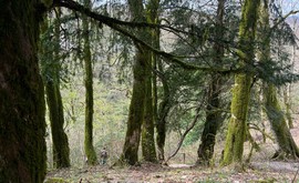 Фото 4: Участок 15 сот., Мамайка - Рост Недвижимость