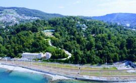 Фото 4: Участок 50 сот., Хоста - Рост Недвижимость