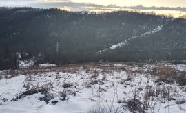 Фото 2: Участок 146 сот., Липники - Рост Недвижимость