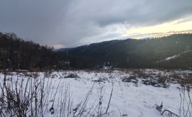Фото 4: Участок 146 сот., Липники - Рост Недвижимость