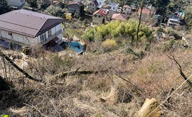 Фото 2: Участок 12.4 сот., Мамайка - Рост Недвижимость