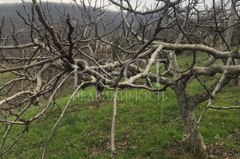 Фото - Рост Недвижимость