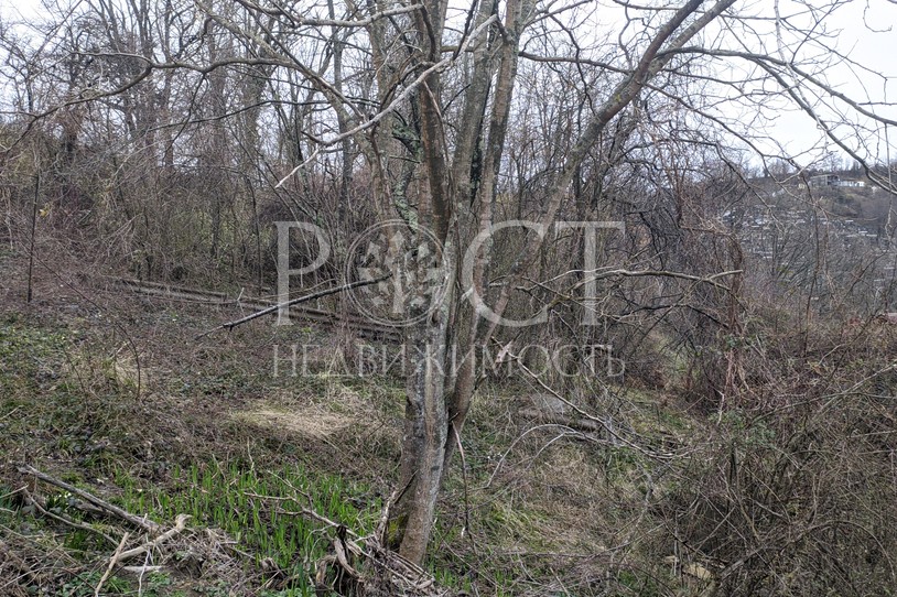 Фото - Рост Недвижимость