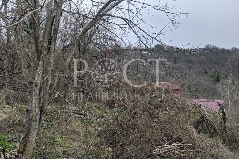 Фото - Рост Недвижимость