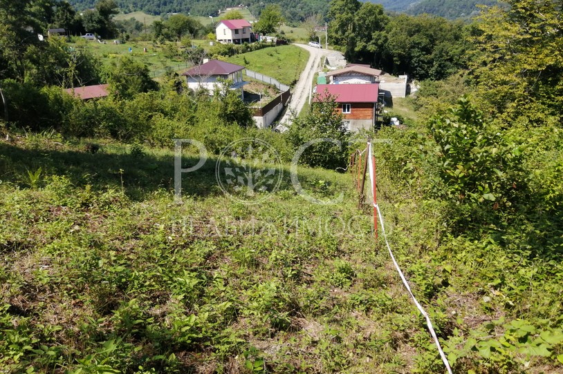 Фото - Рост Недвижимость