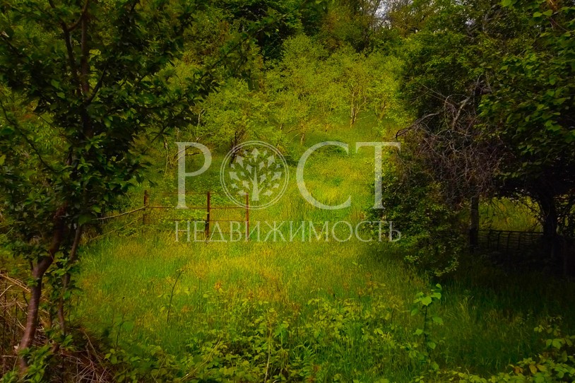 Фото - Рост Недвижимость