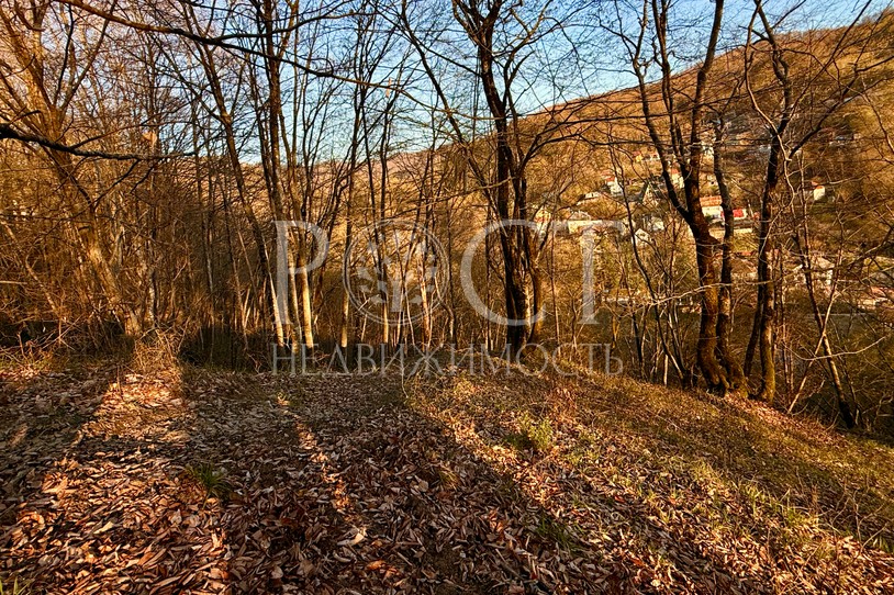 Фото - Рост Недвижимость