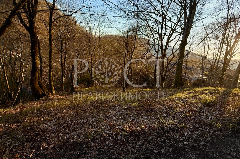 Фото - Рост Недвижимость